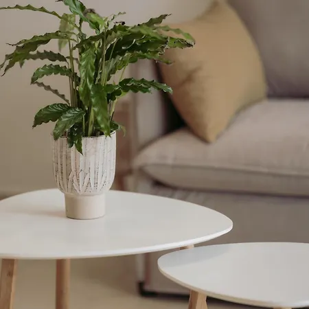 Cozy Living Chania Close To The 아파트