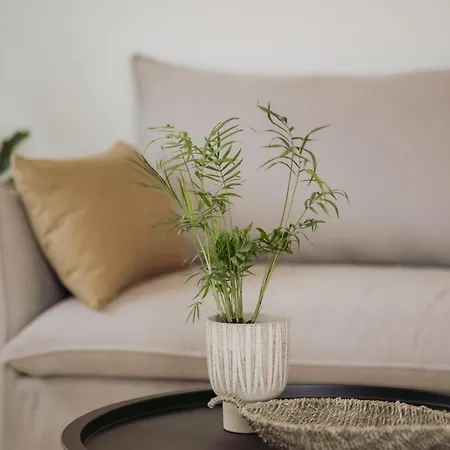 Cozy Living Chania Close To The * 하니아