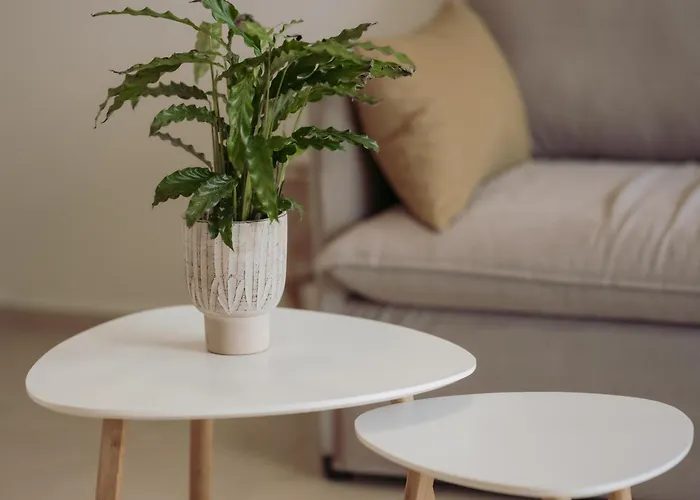 Cozy Living Chania Close To The Appartement