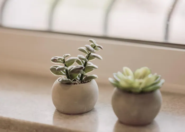 Cozy Living Chania Close To The