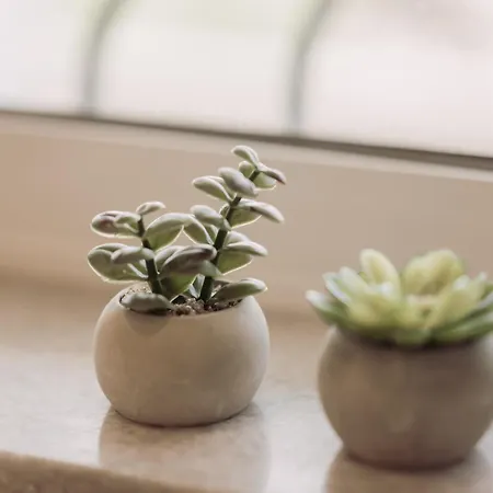 Cozy Living Chania Close To The